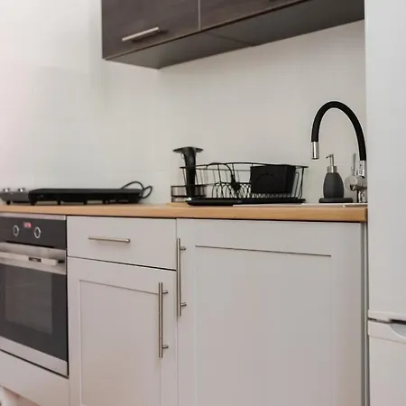 Vintage Parter Апартаменты Плоцк